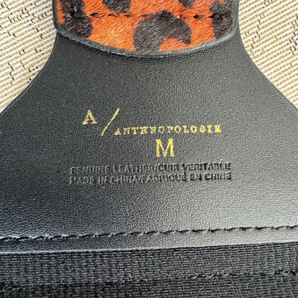 NWT Anthropologie wide tabby belt, stretchy, leopard, M - Picture 7 of 11